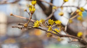 2025년 춘분 뜻 날짜, 의미