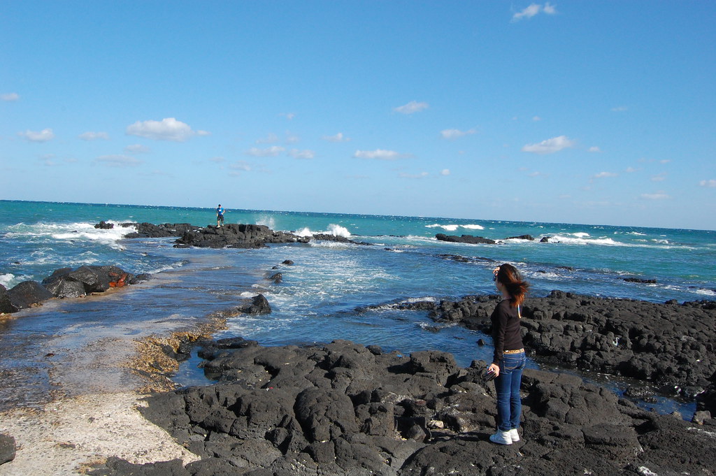 제주도 관련 사진