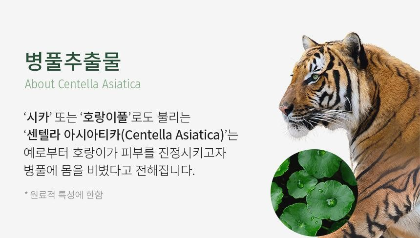 파넬 시카마누 약산성 바디미스트