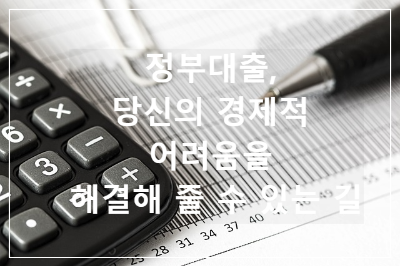 정부대출
