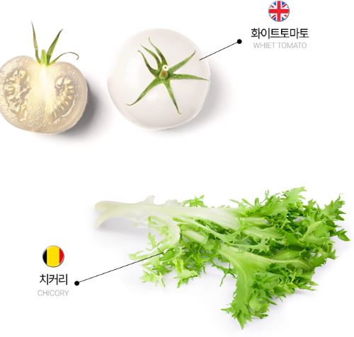 스웰다이어트-코어빈-효과