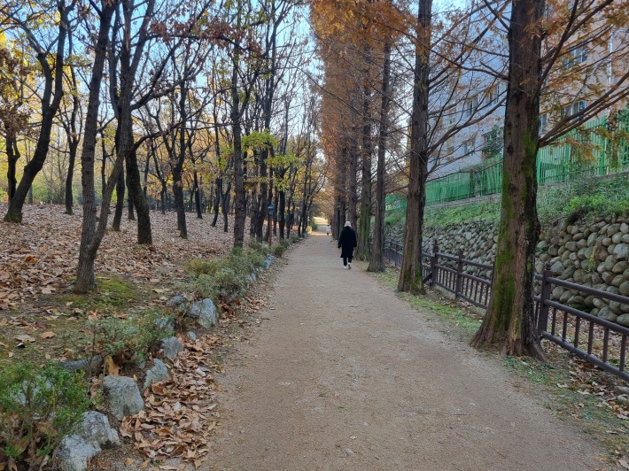 산책로