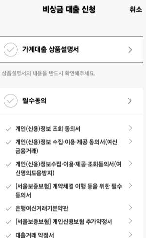 카카오뱅크 비상금대출