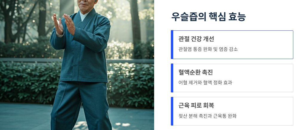 우슬즙의 핵심 효능과 효과