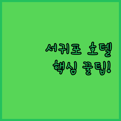 서귀포 가성비 호텔 5곳 위치 후기 ..