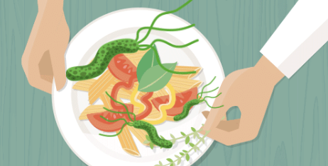 헬리코박터균 8