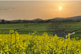 고창 학원 농장 입장료 총정리 관련사진