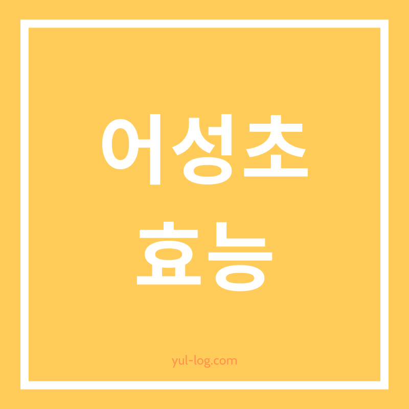 어성초 효능 피부 미용부터 탈모 예방까지 효과적인 활용법