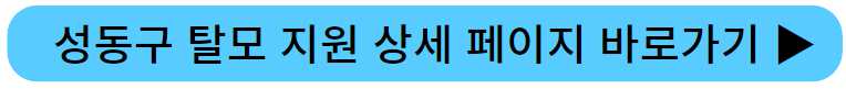 성동구 탈모 지원
