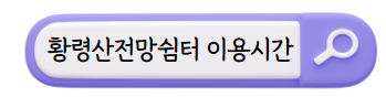 봄꽃 여행지
