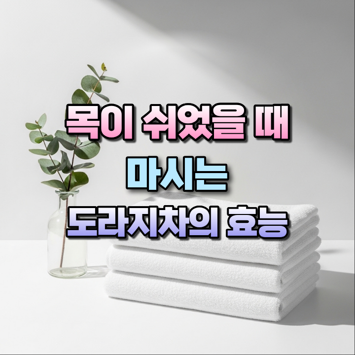 목이쉬었을때마시는도라지차의효능