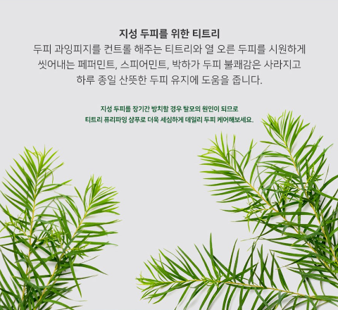탈모샴푸 추천 BEST 3