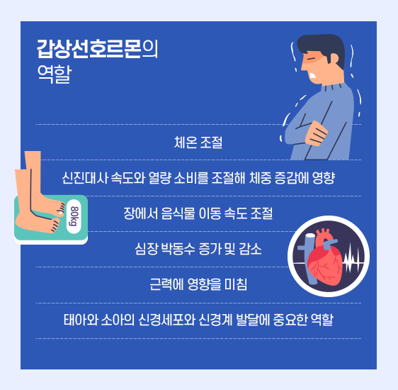 당뇨와 갑상선 질환에는 서로 어떤 관계가 있을까요?