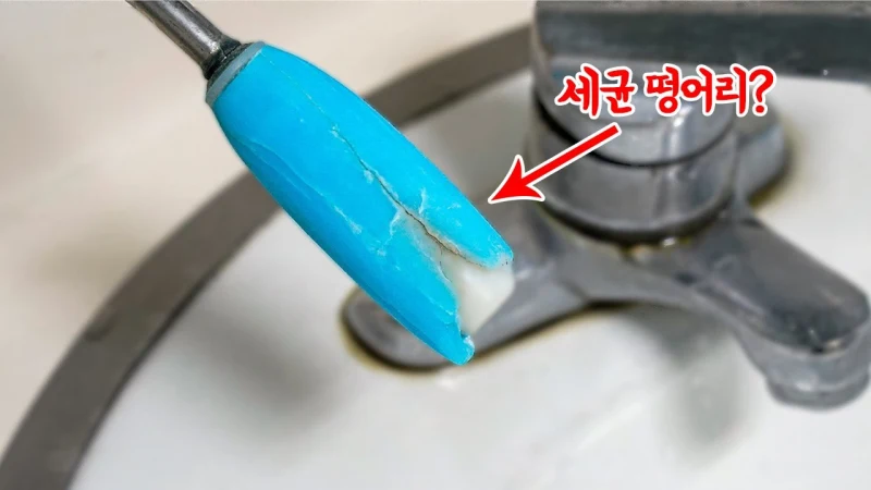 세균이 있는 비누