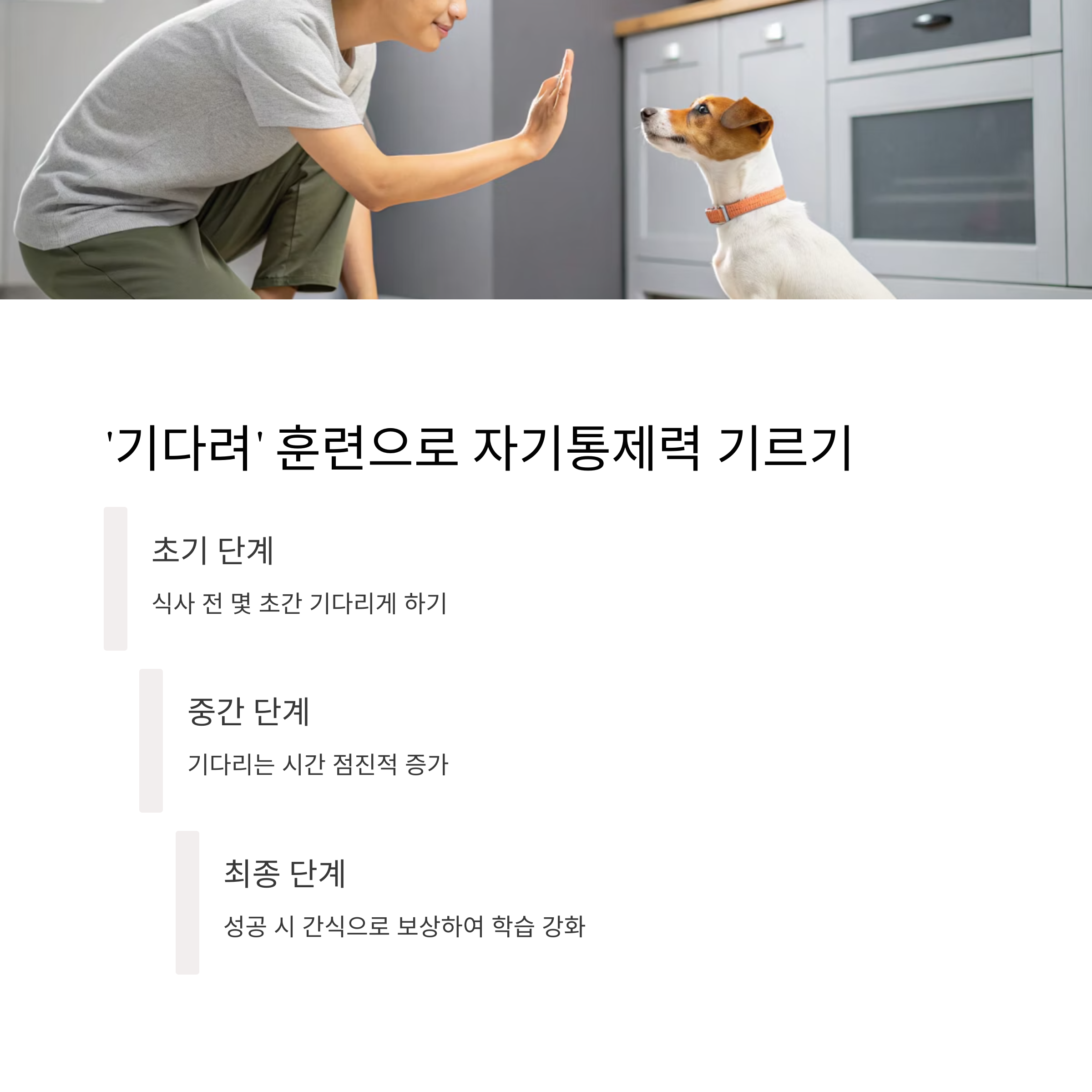 '기다려' 훈련으로 자기통제력 기르기