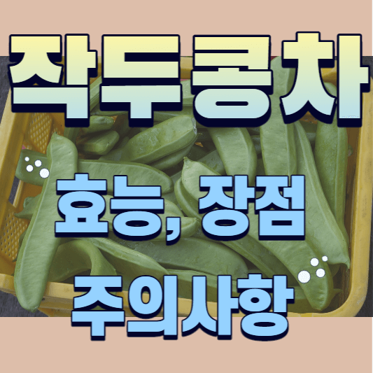 작두콩차에 대한 내용의 포스팅임을 알려주는 썸네일