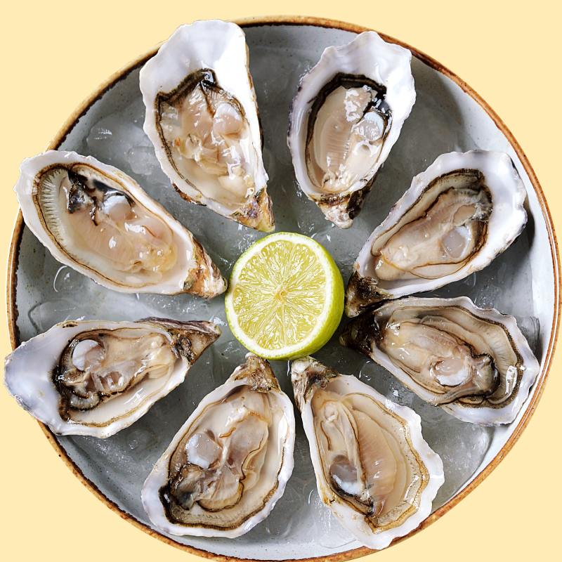 굴 효능 피부건강 도움