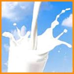 우유 유통기한 개봉후 썸네일 이미지