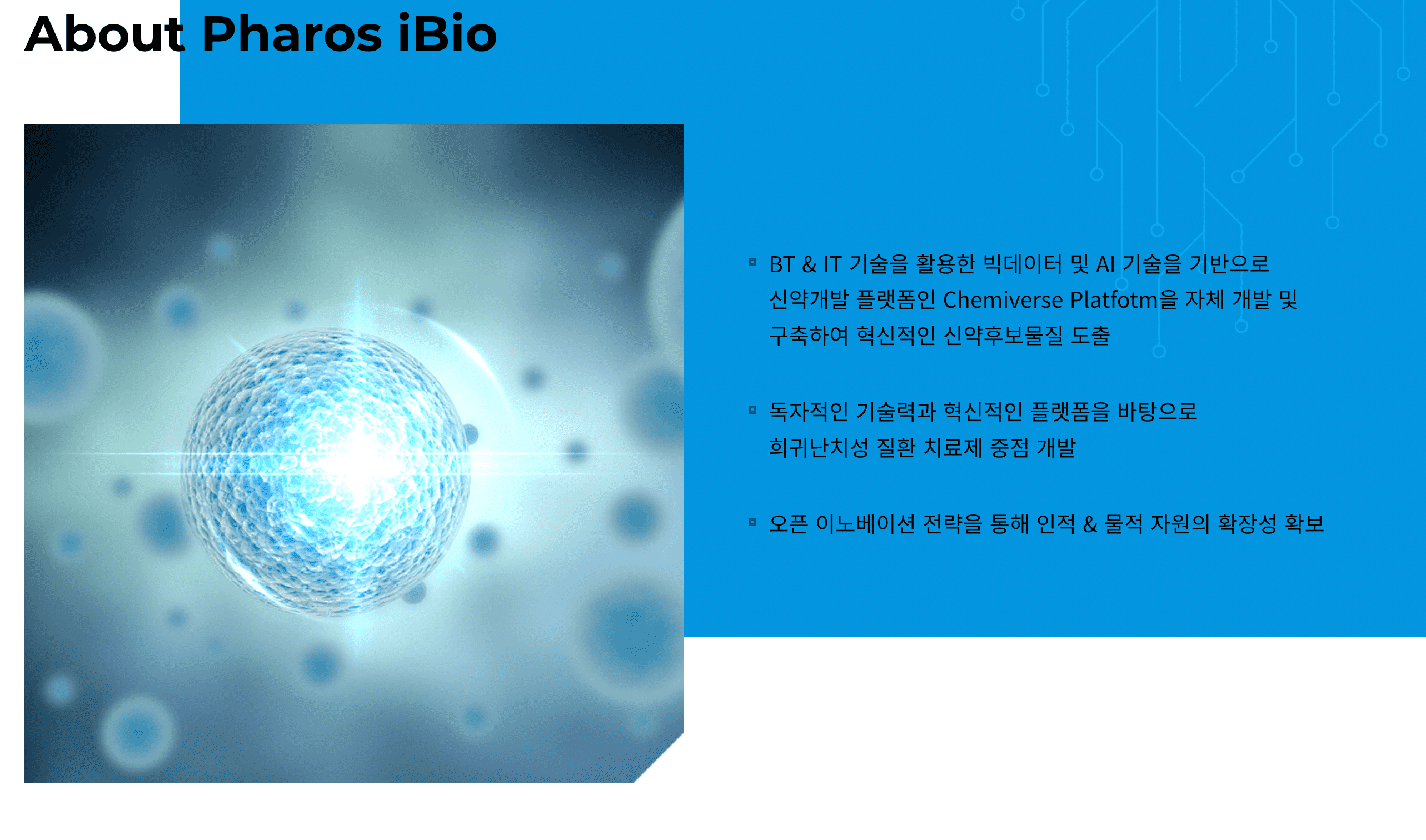 회사소개 