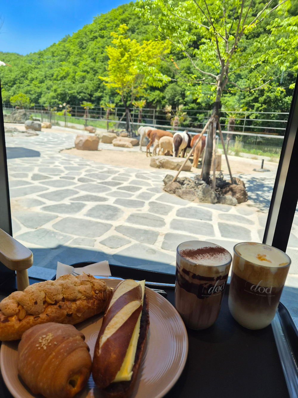 울산 카페디오디 베이커리와 음료