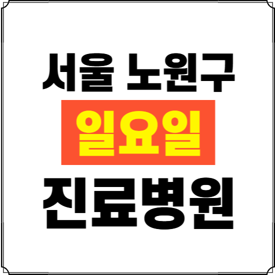 서울 노원구 일요일 진료병원 찾기 ❘ 24시 휴일 주말 응급 야간 심야 문여는 병원