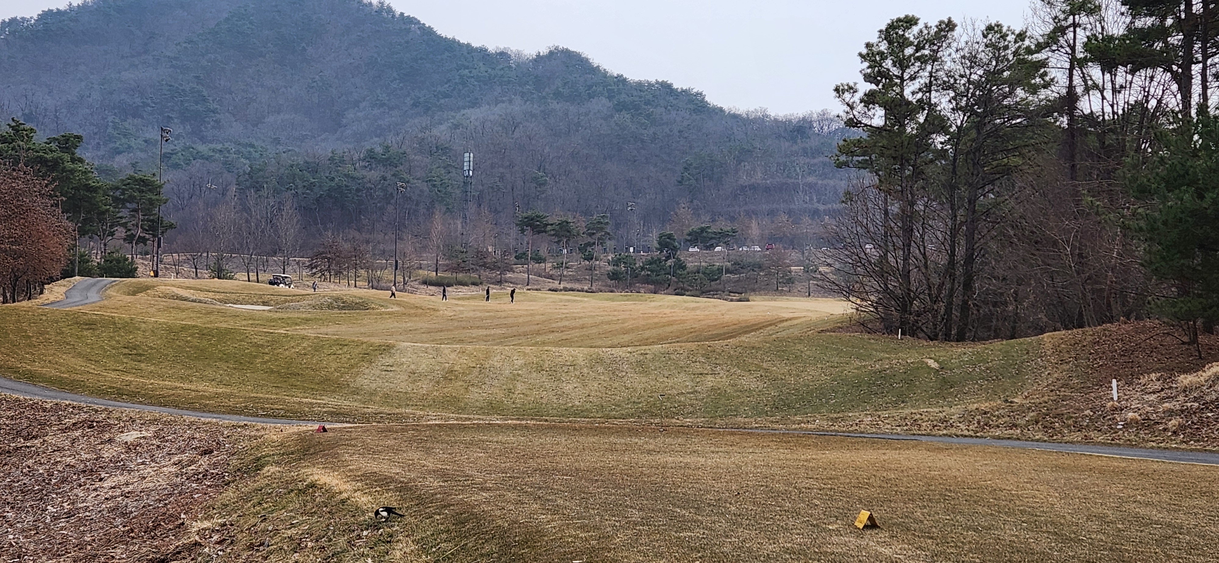 실크밸리