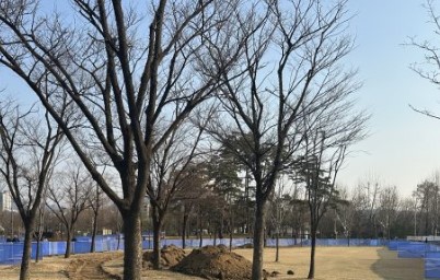 2025 서울국제정원박람회 가이드 총정리