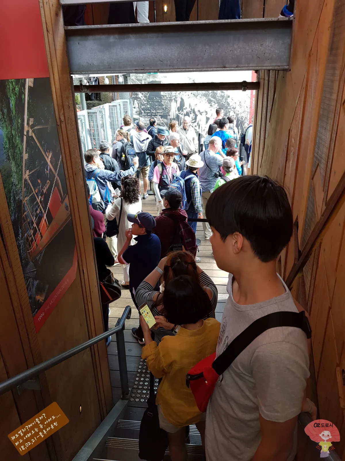 호주-시드니-근교여행-블루마운틴-국립공원-시닉월드-궤도열차-타러-이동중