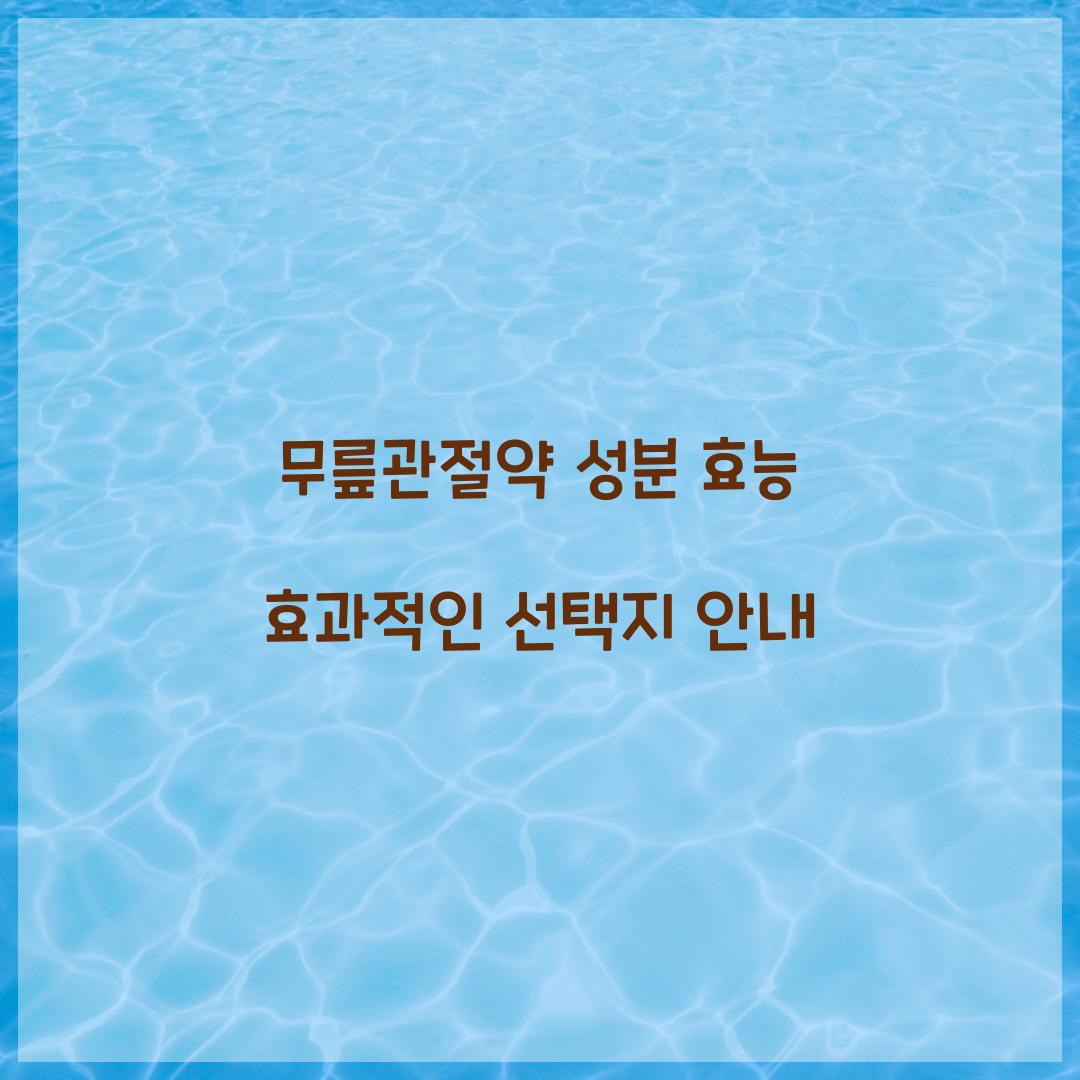무릎관절약 성분 효능