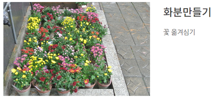 청평자연휴양림