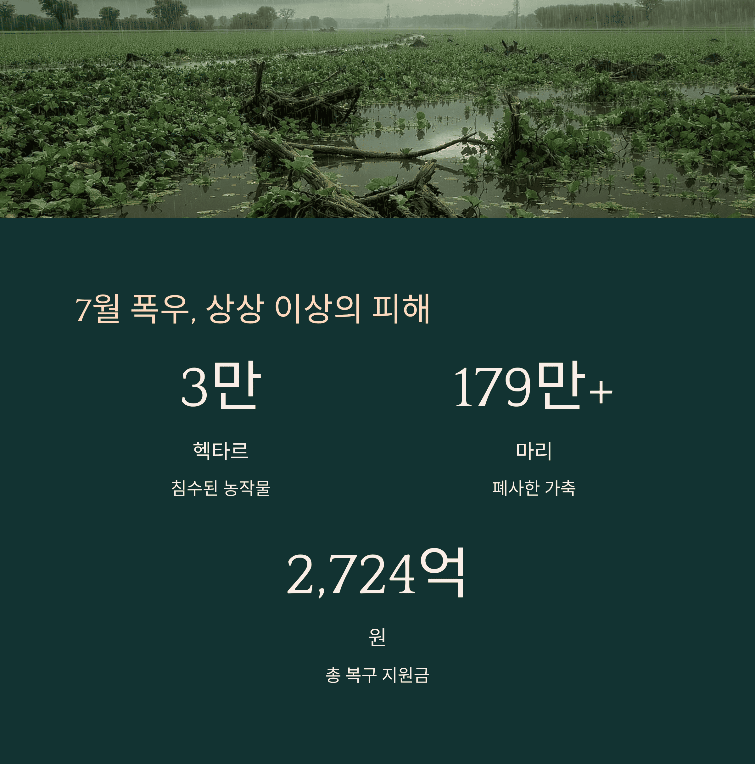 &quot;폭우 피해&quot; 농민들에게 전해진 희망의 소식! 정부 지원금