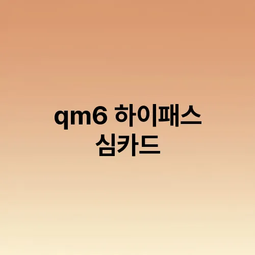 qm6 하이패스 심카드