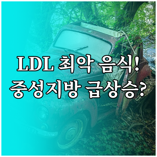 고지혈증 있다면 피해야 할 LDL 중..