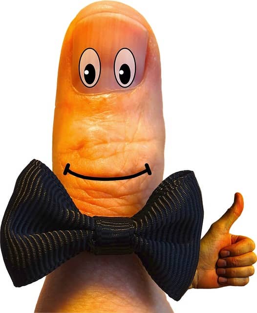 의사소통의 도구로서의 수화, 다문화 교육의 일환