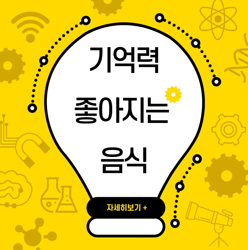 기억력 좋아지는 음식