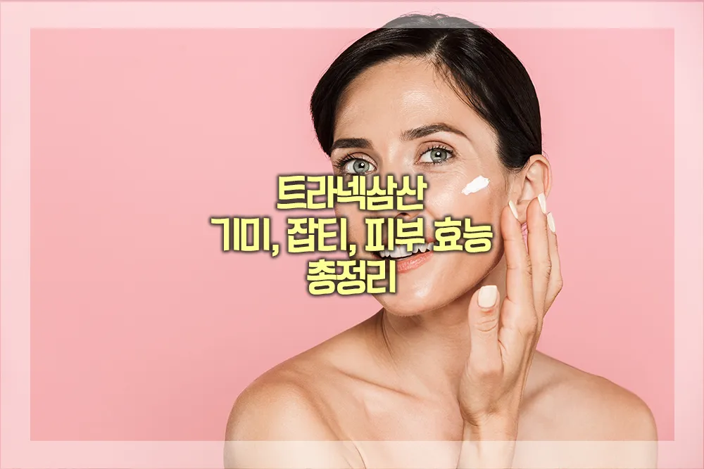 트라넥삼산 기미 잡티 피부 효능