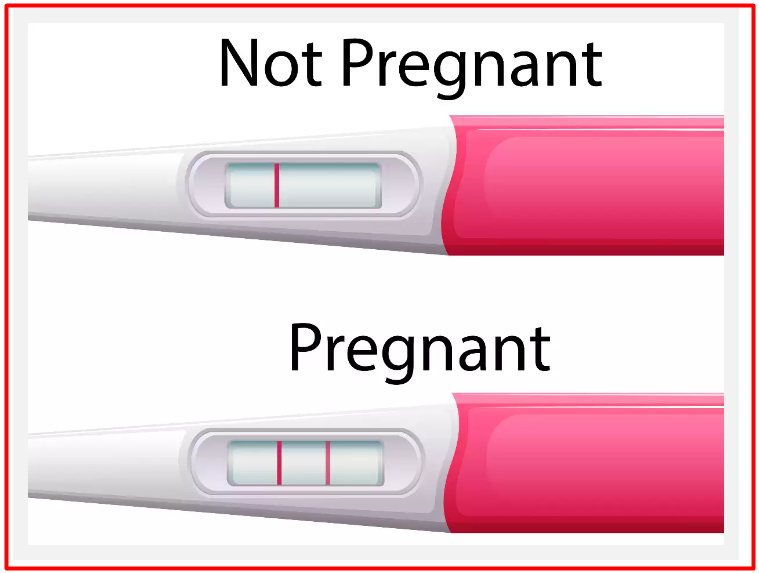 임신 테스트기의 해석법
