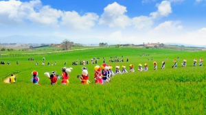 꼭 가야하는 축제 BEST 5곳