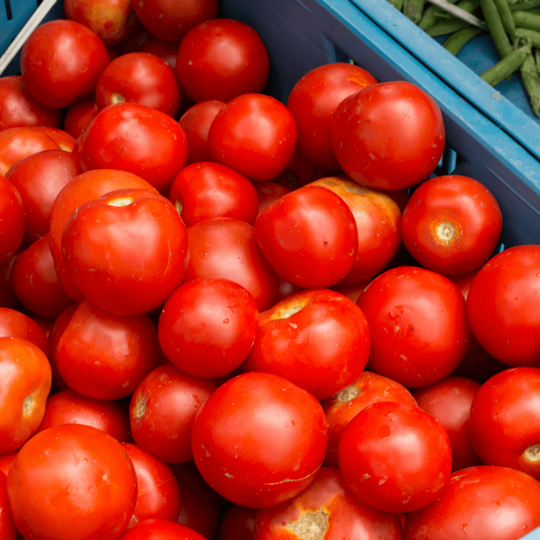 토마토 효능 부작용