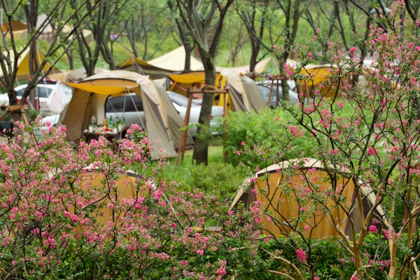 서울 중랑캠핑숲, 중랑가족캠핑장 소개