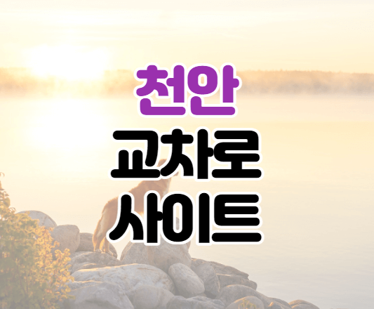 천안교차로-이미지
