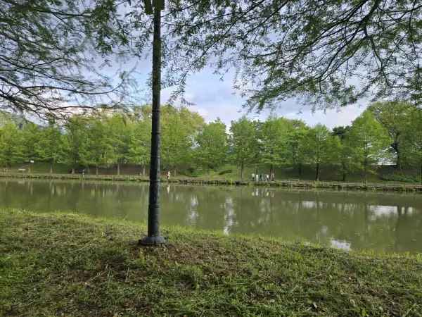 담양 대나무 축제 죽녹원