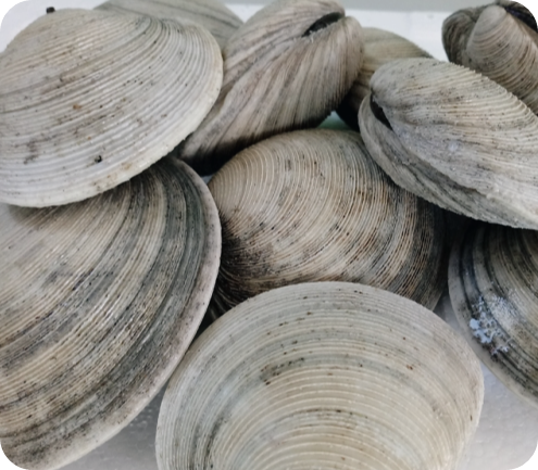 칼륨이-많은-음식