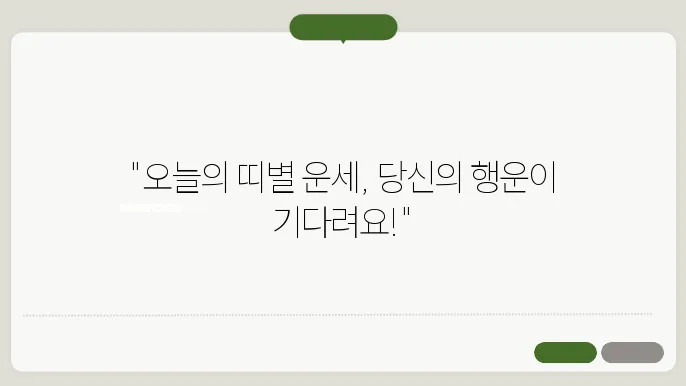 각 띠별 오늘의 운세 무료보기
