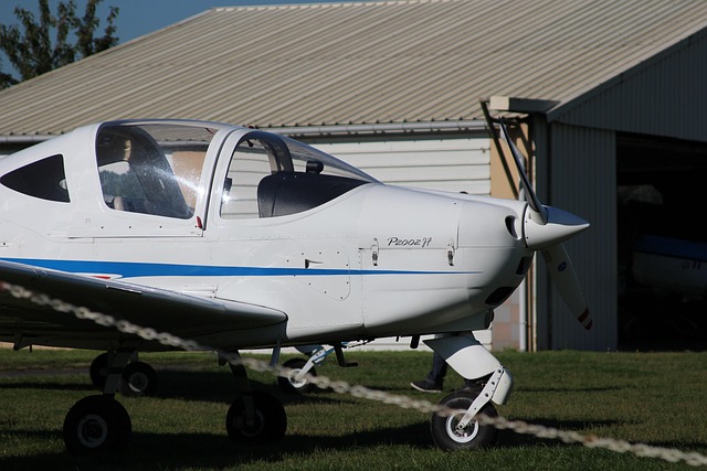 영화 《아메리칸 메이드》 기회와 리스크를 동시에 쥔 남자의 이야기