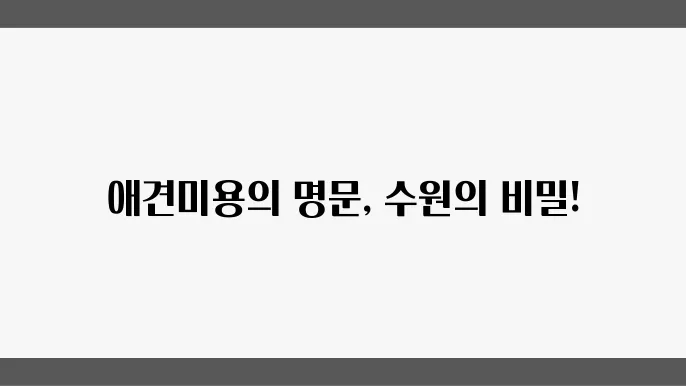수원 애견미용사 자격증 과정 안내