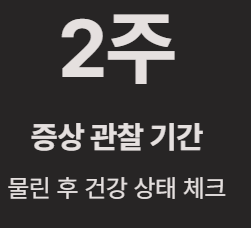 진드기 물린 후 증상과 치료방법