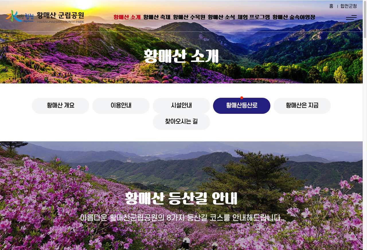 황매산 억새축제 기간과 연계되는 합천황토한우축제 현장