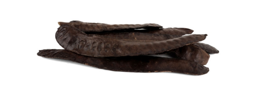 야생에서 채취를 한 주염나무의 열매인 비조각, 즉 조협을 깨끗하게 세척을 한 후에 하얀 바닥 위에 여러 개 놓아두고 찍은 사진