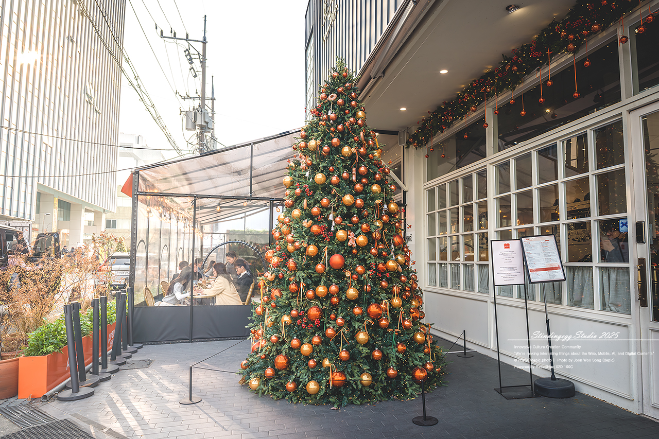 #서울 #성수동 #카페 #크리스마스 #트리 #11월